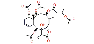 Erythrolide M